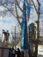 اجرای طرح جهادی با پرسنل خدوم سازمان سیما منظر و فضای سبز شهری شهرداری ملارد 