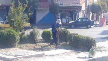 اجرای عملیات کاشت گل و گیاه و نهال در سطوح فضای سبز شهری ملارد