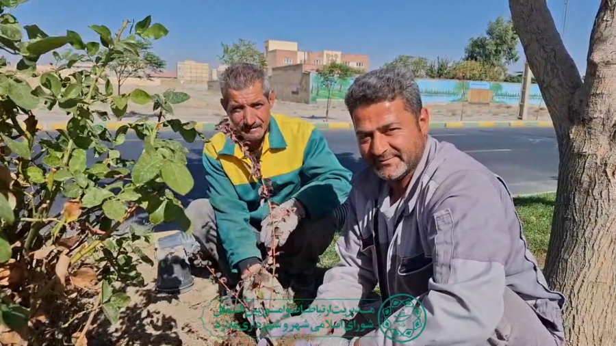 حال و هوای تازه در ملارد؛ سازمان سیما، منظر و فضای سبز شهری شهرداری، با کاشت گل‌های فصلی، شهر را غرق در رنگ و طراوت کرد