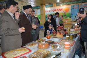 بازدید شهردار از جشنواره غذا در گلزار شهدای ملارد