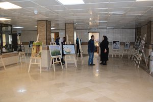 برگزاری نمایشگاه نقاشی در شهرداری ملارد به روایت تصویر