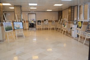 برگزاری نمایشگاه نقاشی در شهرداری ملارد به روایت تصویر