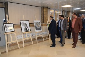 برگزاری نمایشگاه نقاشی در شهرداری ملارد به روایت تصویر