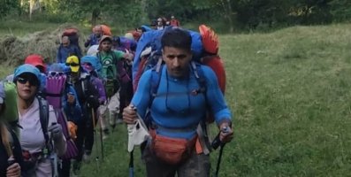 توزیع نهال  رایگان در بین شهروندان