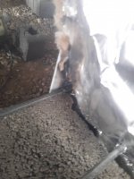 شهرداری ملارد برای تحقق سرانه های استاندارد فضای سبز شهری مجدانه پای کار است.