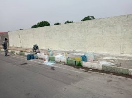 شهرداری ملارد برای تحقق سرانه های استاندارد فضای سبز شهری مجدانه پای کار است.