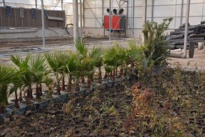 با هر گونه تغییر کاربری باغات ملارد به جد برخورد می کنیم