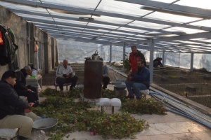 با هر گونه تغییر کاربری باغات ملارد به جد برخورد می کنیم