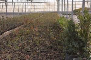 با هر گونه تغییر کاربری باغات ملارد به جد برخورد می کنیم