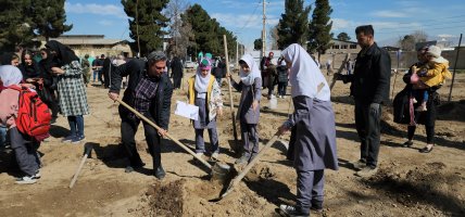 بمناسبت هفته منابع طبیعی غرس نهال فرزندان شهرملارد بهمراه مادران بمناسبت هفته منابع طبیعی 