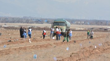 کاشت درخت بمناسبت هفته منابع طبیعی