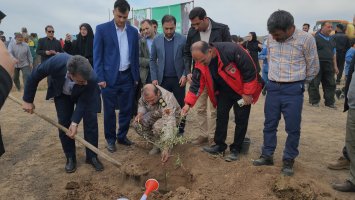 کاشت درخت بمناسبت هفته منابع طبیعی