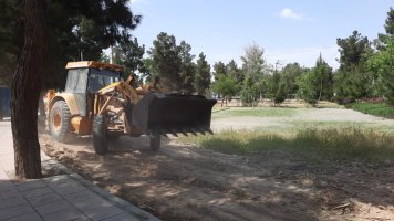 شهرداری ملارد برای تحقق سرانه های استاندارد فضای سبز شهری مجدانه پای کار است.