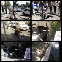 تکاپوی حوزه خدمات شهری با افزایش دمای هوا دوچندان شده است.