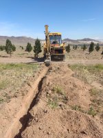 عملیات سم پاشی درختان قپچاق انجام شد.