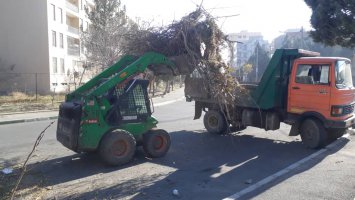 جمع آوری نخاله ها و شاخ و برگ درختان از سطح معابر شهری