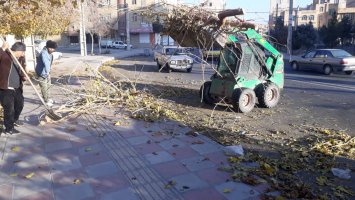 جمع آوری نخاله ها و شاخ و برگ درختان از سطح معابر شهری