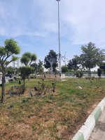 شهرداری ملارد اقدام به فضاسازی معنوی و سیاه پوش کردن سیمای شهری نمود.