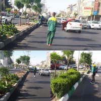 عملیات سم پاشی بهاره علیه آفات نباتی در سطح شهر ملارد در حال اجراست.