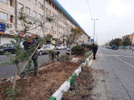 آغاز عملیات بازپیرایی و کاشت گل های دائمی در بلوار مطهری شرقی