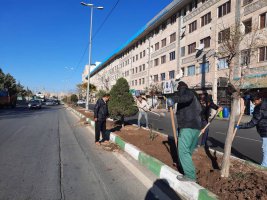 آغاز عملیات بازپیرایی و کاشت گل های دائمی در بلوار مطهری شرقی