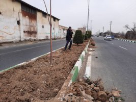 آغاز عملیات بازپیرایی و کاشت گل های دائمی در بلوار مطهری شرقی