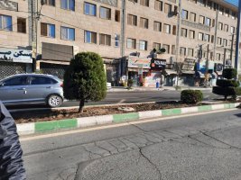 آغاز عملیات بازپیرایی و کاشت گل های دائمی در بلوار مطهری شرقی