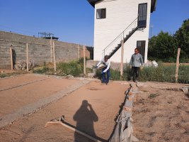 کاشت بذور گل فصلی داوودی و گل کلم در واحد تولیدات شهرداری ملارد