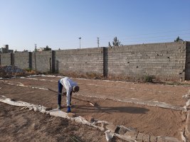 کاشت بذور گل فصلی داوودی و گل کلم در واحد تولیدات شهرداری ملارد