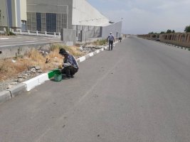 اجرای 5000 متر طول رنگ آمیزی جداول در خرداد1400