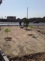 آغازعملیات احداث فضای سبز میدان شهید اشرف ملارد