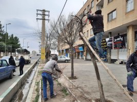 نوزدهمین مرحله از طرح جمعه های جهادی شهرداری ملارد