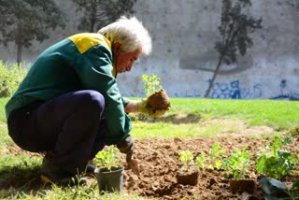 پانزدهم مهر ماه ،پرسنل خدوم شهرداری ملارد در اجرای طرح جمعه های جهادی