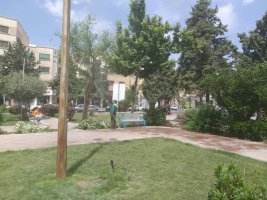 آغاز سم پاشی های بهاره علیه آفات در شهرملارد آغاز گردیده است.