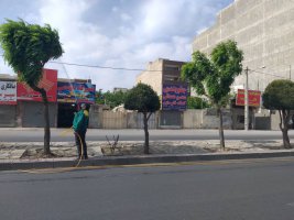 آغاز سم پاشی های بهاره علیه آفات در شهرملارد آغاز گردیده است.