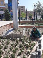 ملارد به استقبال پاییز می رود