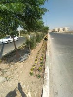 ملارد به استقبال پاییز می رود