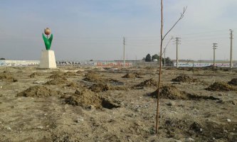 غرس بیش از 400 اصله نهال غیر مثمر در بلوار ملاردویلای جنوبی