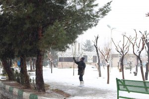  برف روبی و برف تکانی درختان با شروع بارش برف زمستانی در شهر ملارد