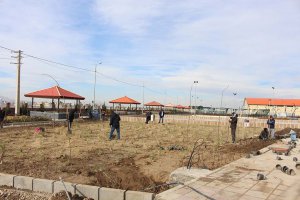 جمعه های کاری در  روند احداث فضای سبز بوستان ورزش