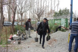 توزیع نهال  رایگان در بین شهروندان