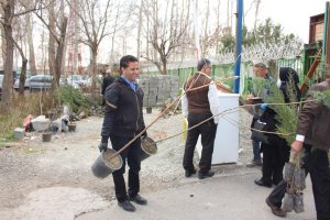 توزیع نهال  رایگان در بین شهروندان
