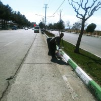 پاکسازی جداول سطح شهر ملارد