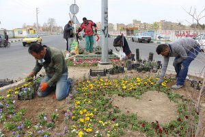 اجرای جانمایی و نصب المانهای نوروزی در سطح شهر ملارد 