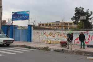 کاشت درختان غیر مثمر در سطح شهر ملارد