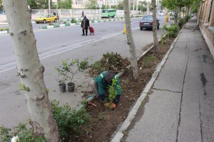 بازپیرائی باغچه های مسجد جامع خاتم الانبیاء مارلیک