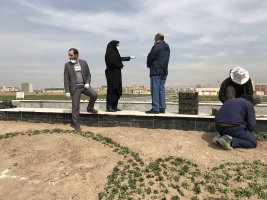 بازدید شهردار ملارد از روند اجرای المان های شهری