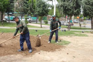 بازپیرائی بوستان چناران انجام شد