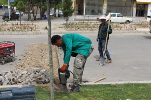 بازپیرائی بوستان چناران انجام شد