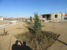 ایجاد فضای سبز در پروژه بوستان 14 هکتاری همچنان ادامه دارد